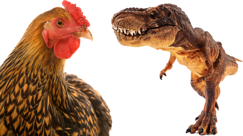 chicken and dinosaur