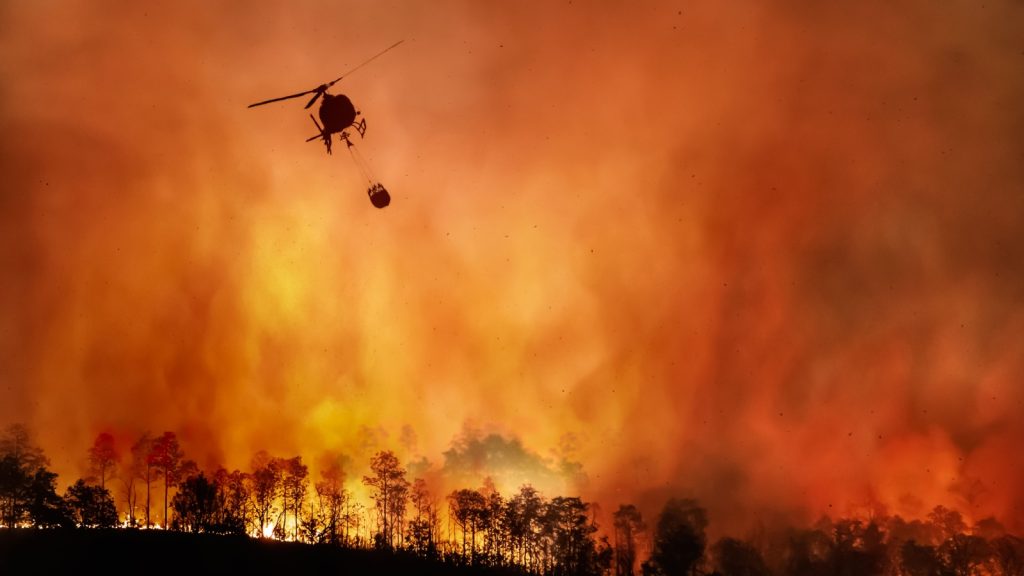 Fire fighting helicopter carry water bucket to extinguish the forest fire