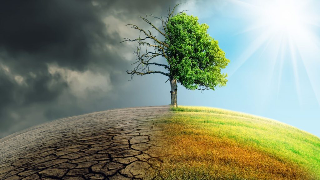 Climate change refers to long-term alterations in temperature patterns, precipitation levels, wind patterns, and other aspects of Earth's climate system. It is primarily caused by human activities