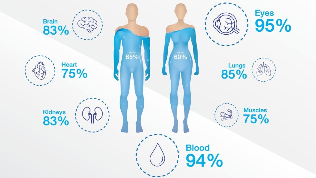human body mostly water