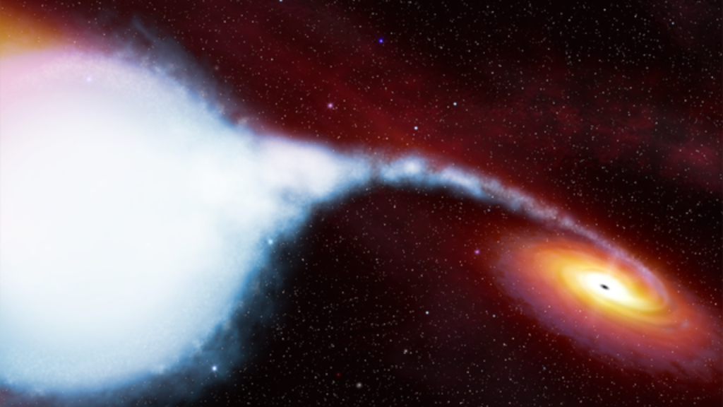 Cygnus X-1 1st blackhole