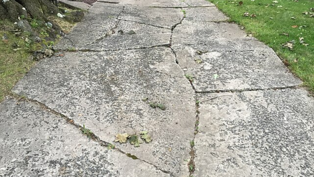  Cracks in the Sidewalk