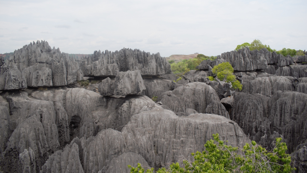 The Rugged Tsingy de Bemaraha