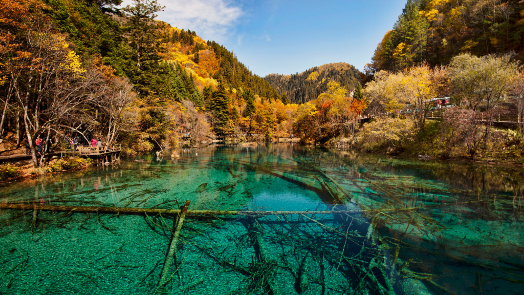 The Serene Jiuzhaigou Valley