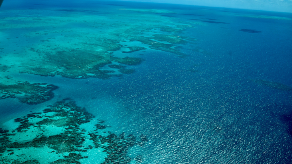 The Vibrant Great Barrier Reef