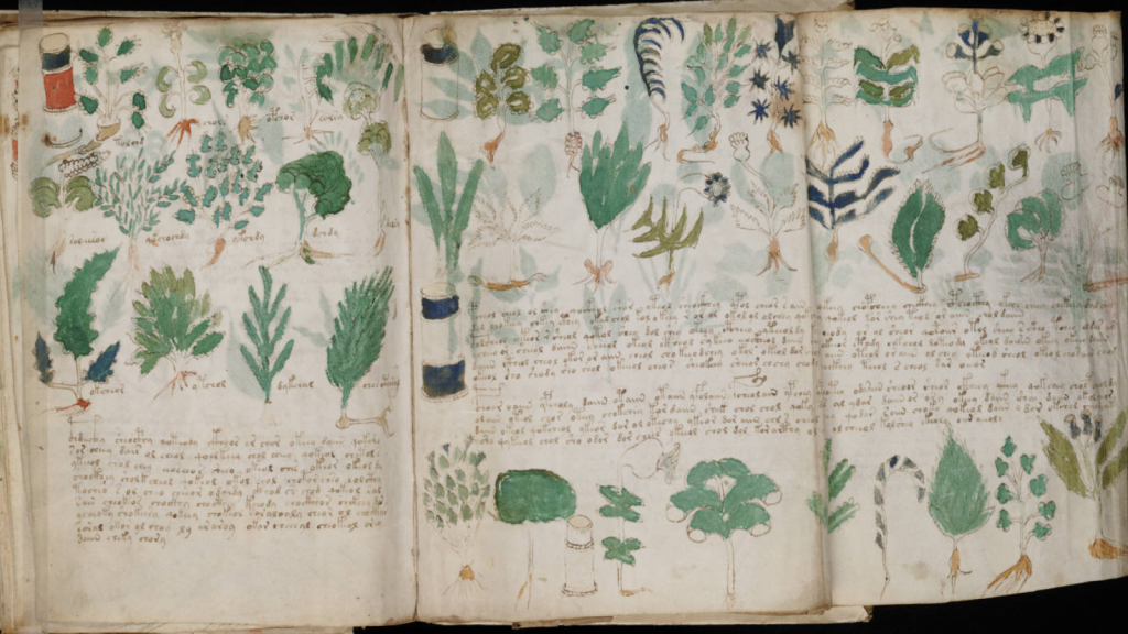 Voynich Manuscript