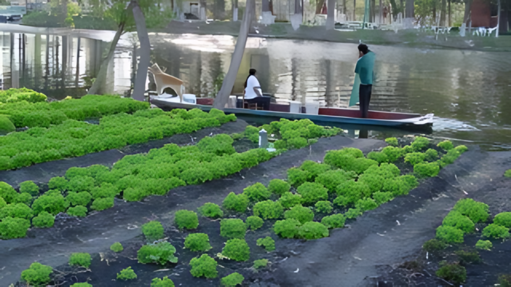 floating gardens