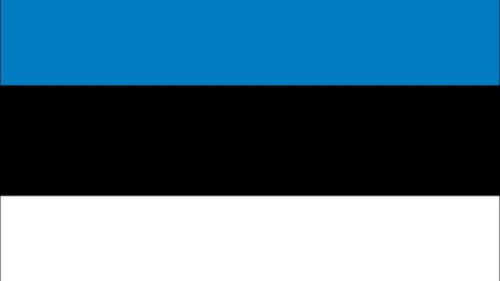 estonian flag