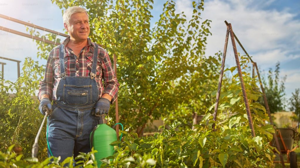 Man-in-a-garden-killing-weeds.-