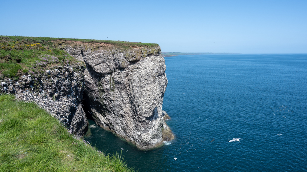 Fowlsheugh, Aberdeenshire