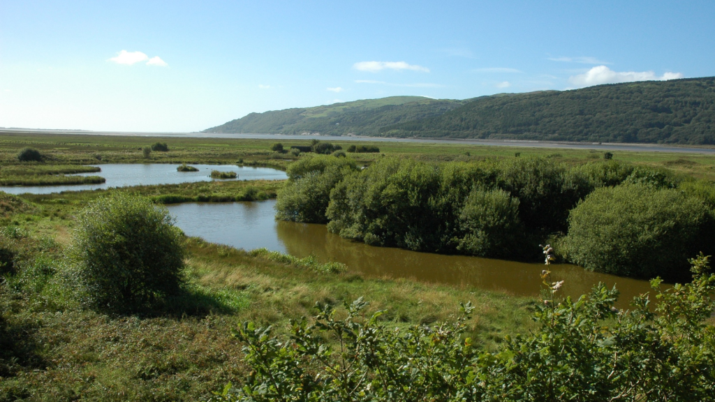 Ynys-hir Nature Reserve, Wales