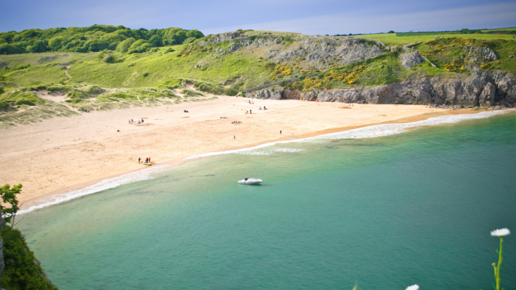 Stackpole Estate