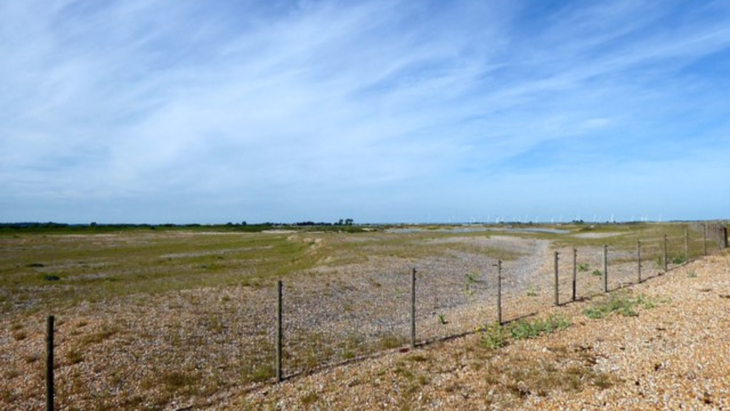 Rye Harbour Nature Reserve