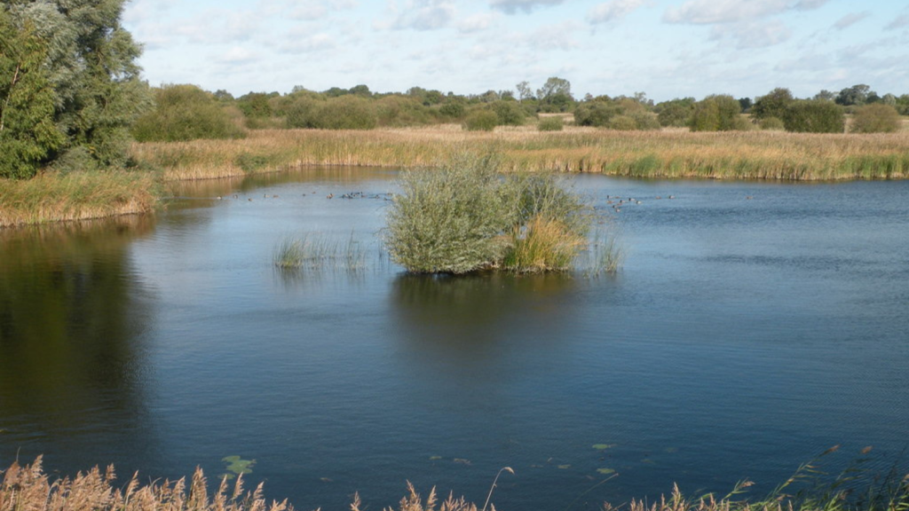 Woodwalton Fen, Cambridgeshire