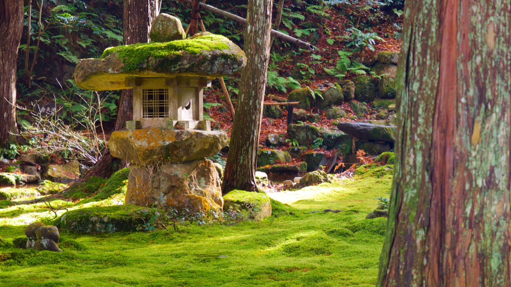 Moss Gardens as a Symbol of Age