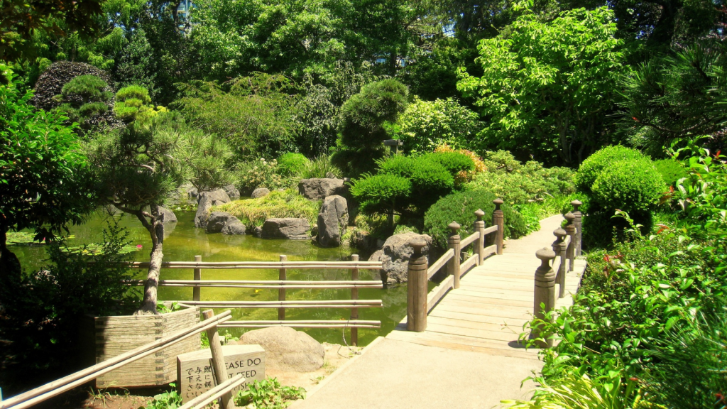 Bamboo Fences as a Symbol of Simplicity