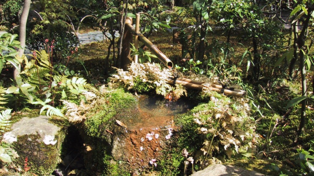 Hidden Water Basins