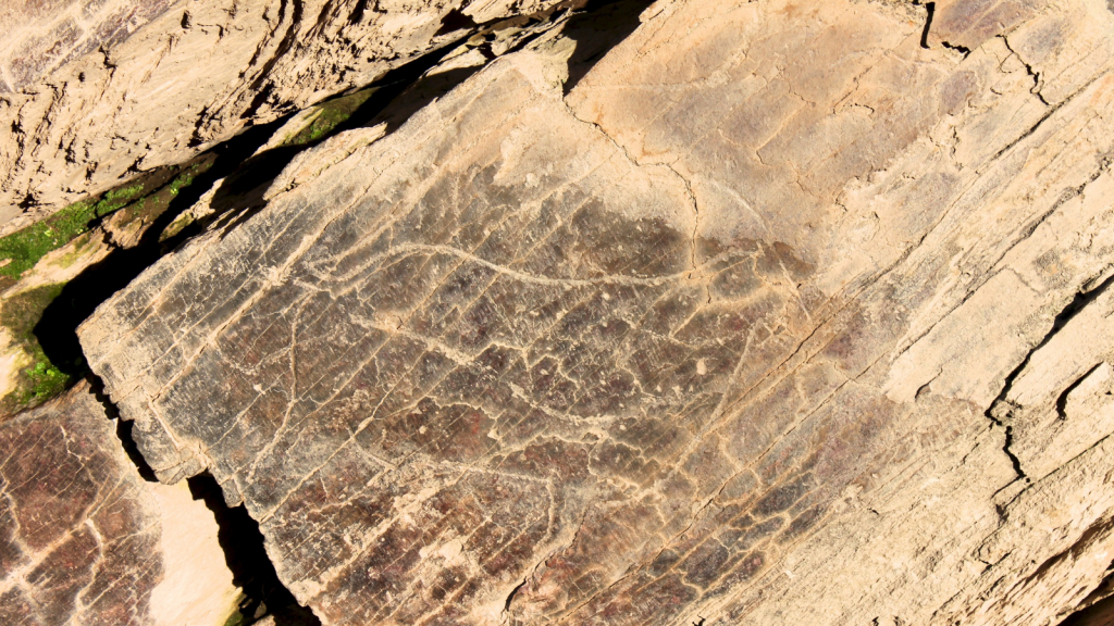 Côa Valley Prehistoric Art