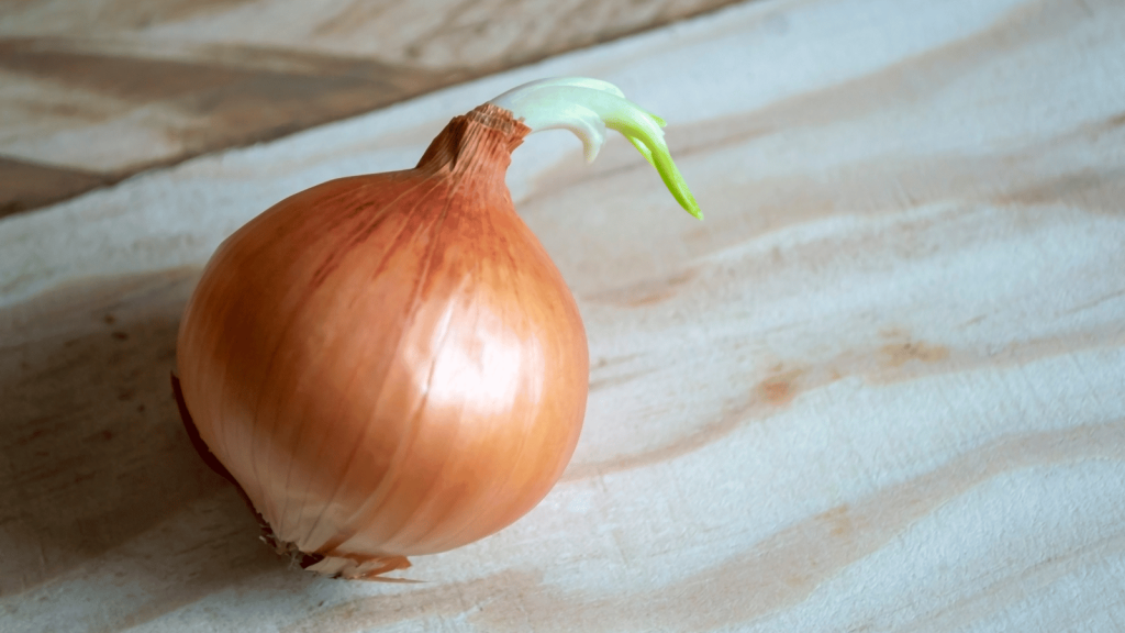 Onion on a wooden cutting board