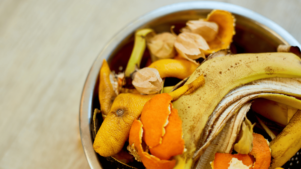 Peels of fruits in a bin