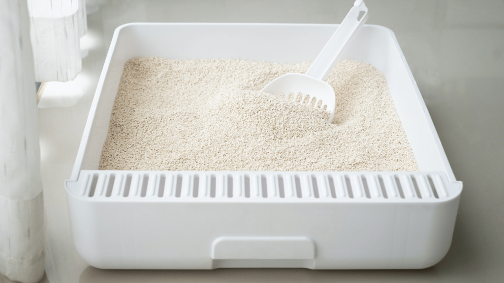 Cat litter in a white litter box