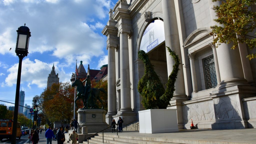 American Museum of Natural History – New York City, USA