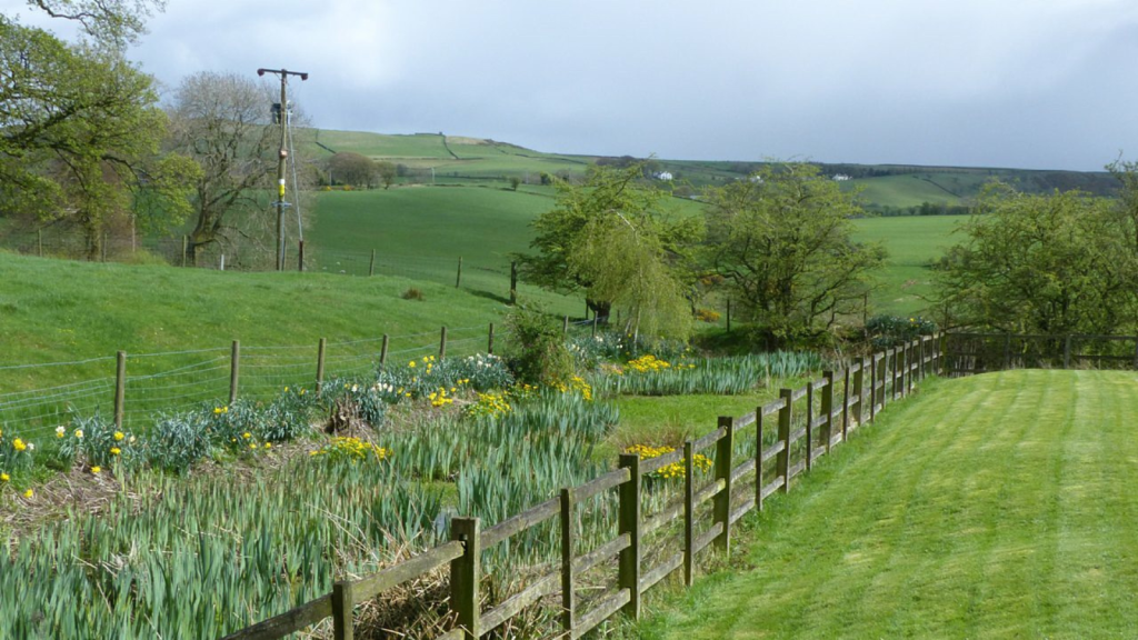 medieval farm
