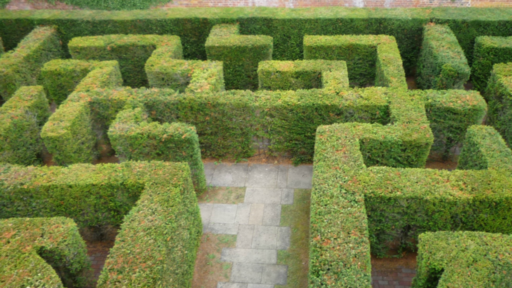 The Hampton Court Maze
