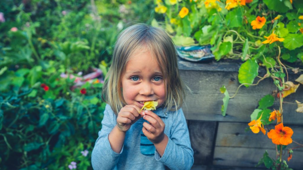 A kid eating a flower