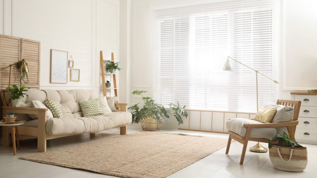 Cozy rug in living room