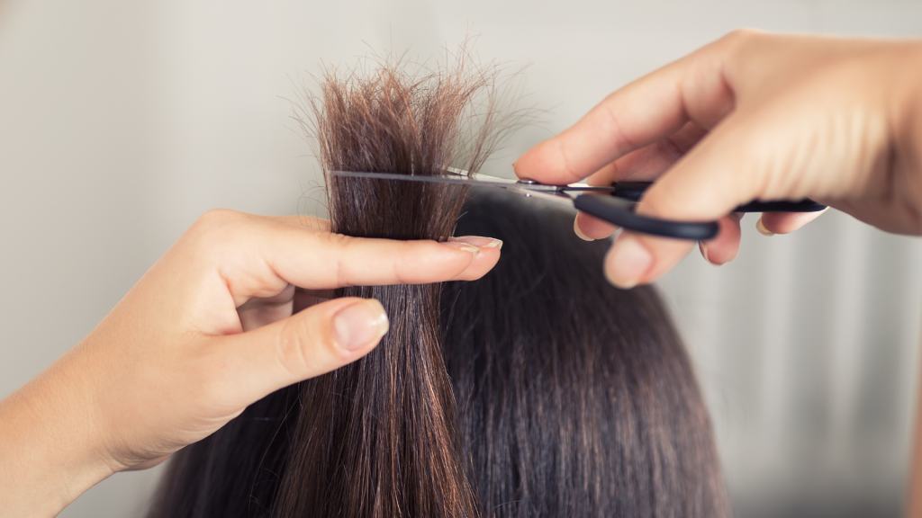 Hairdresser trimming brown hair with scissors