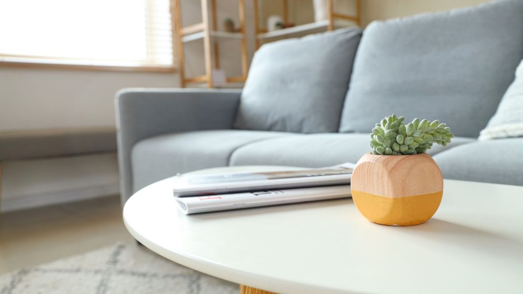 Plant with magazines on table in living room