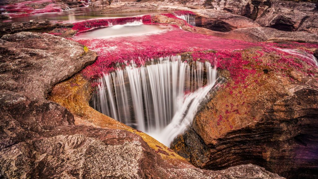 Caño Cristales, Colombia