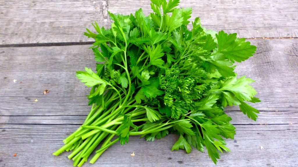 parsley
