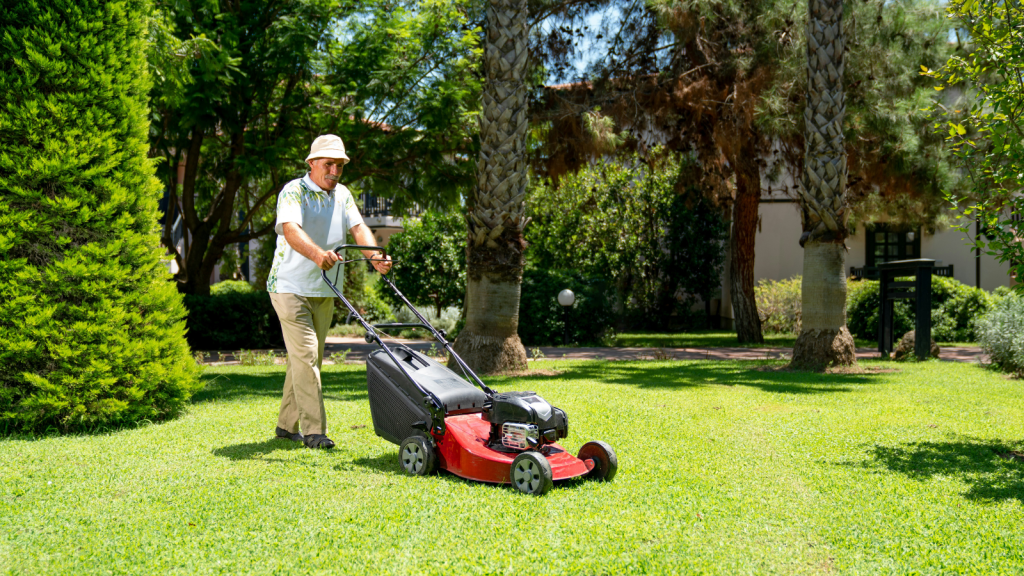 lawnmower
