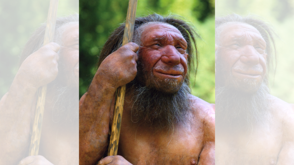 a neanderthal
