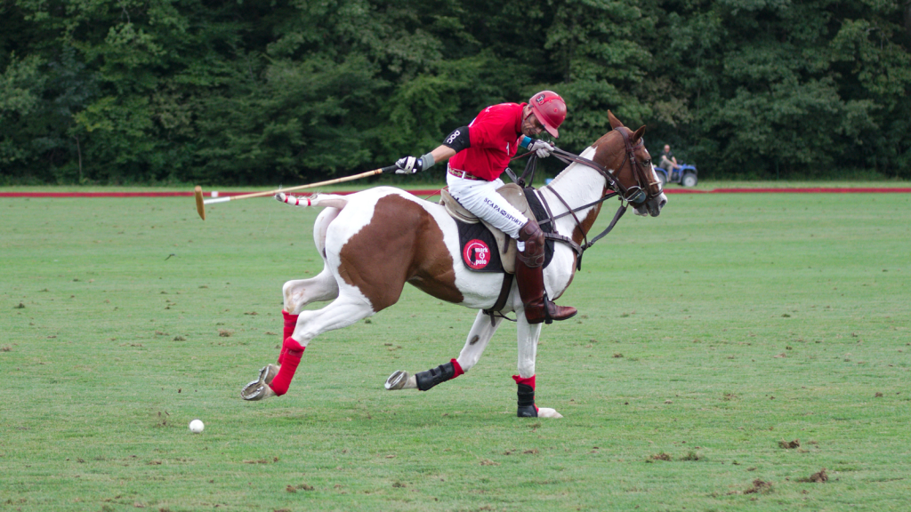 polo sport player
