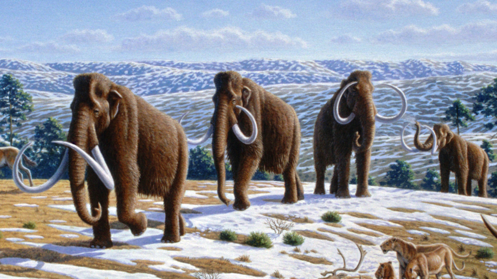 woolly mammoth
