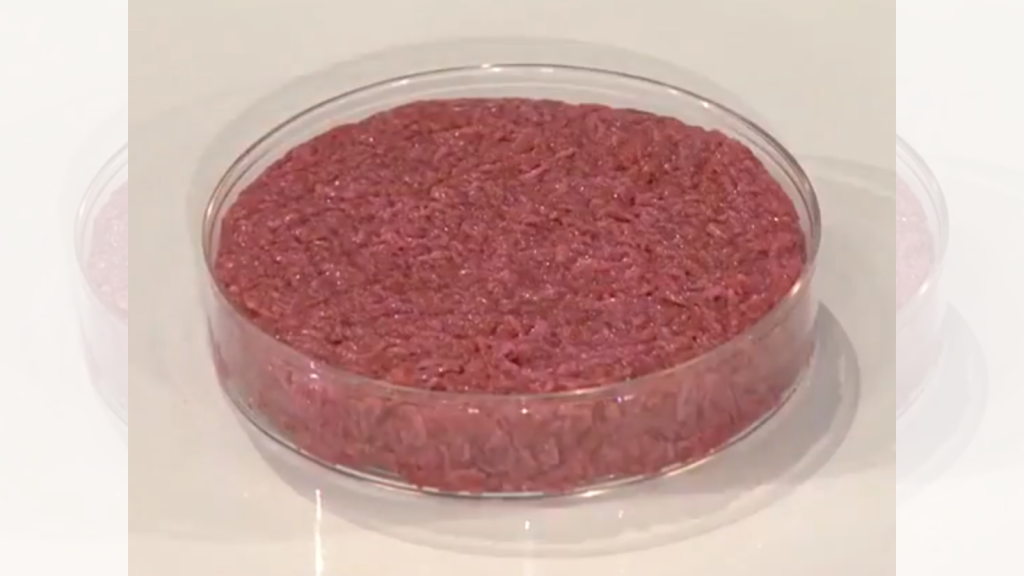 lab grown meat