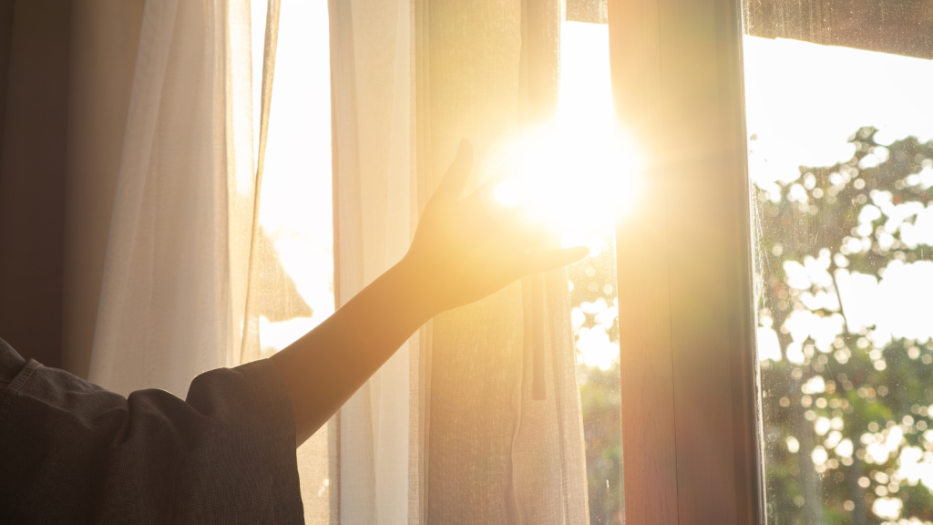 Sunlight on window