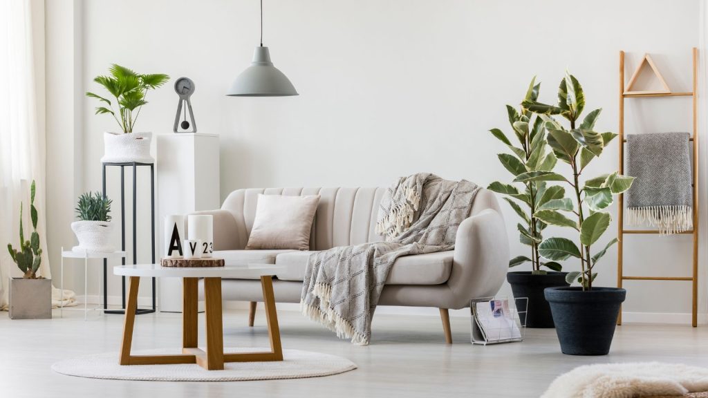 Living room interior with plants