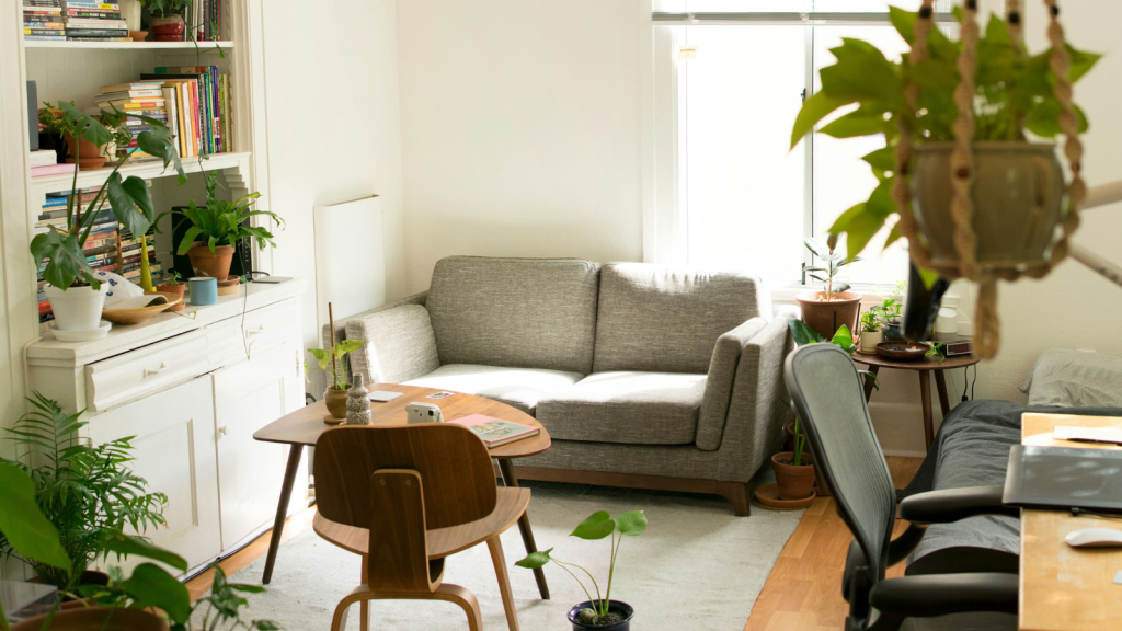 Living room with plants home decor