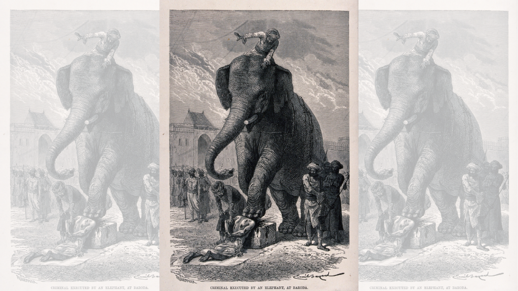 Execution by Elephant
