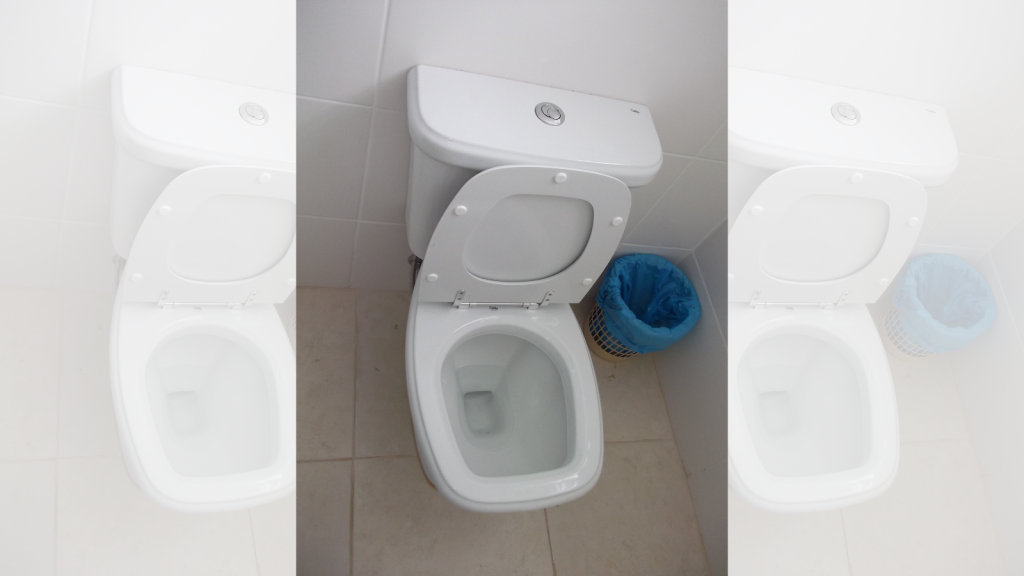 dual flush toilet
