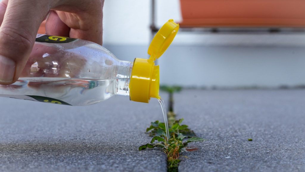 Kill Weeds in Your Garden