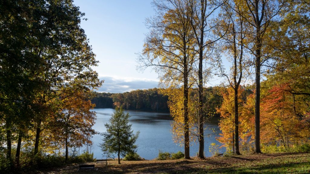 Seneca Creek State Park, Maryland, USA