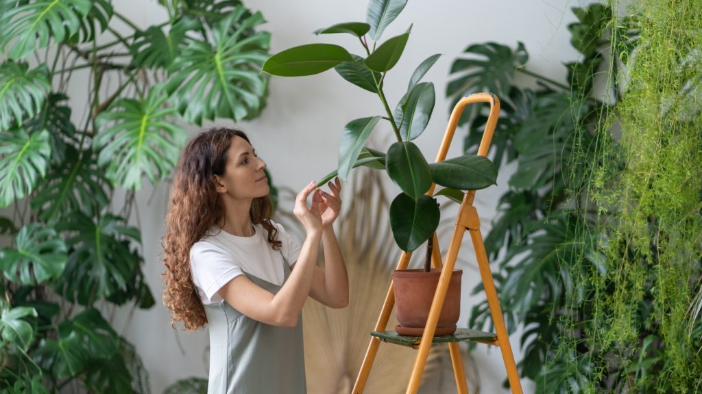 indoor gardening