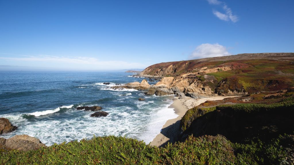 Bodega Bay, California, USA