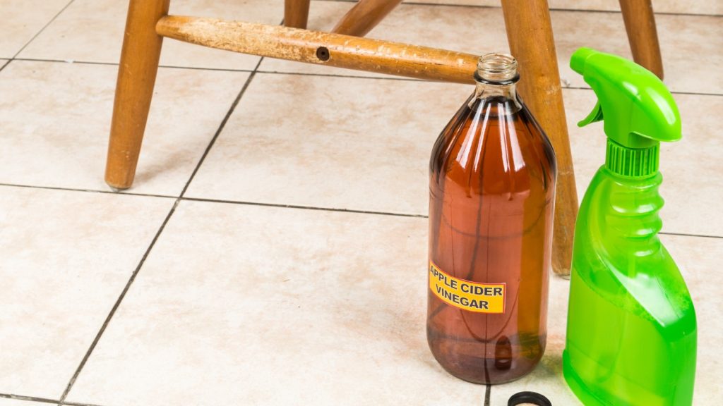 Neutralize Pet Odors with vinegar