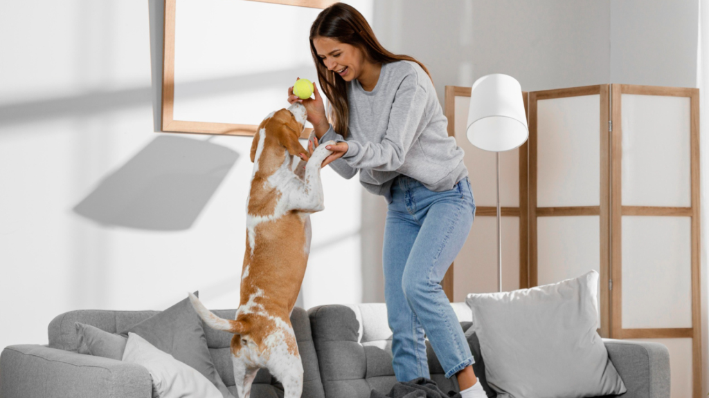 Full shot girl and dog standing on couch playing